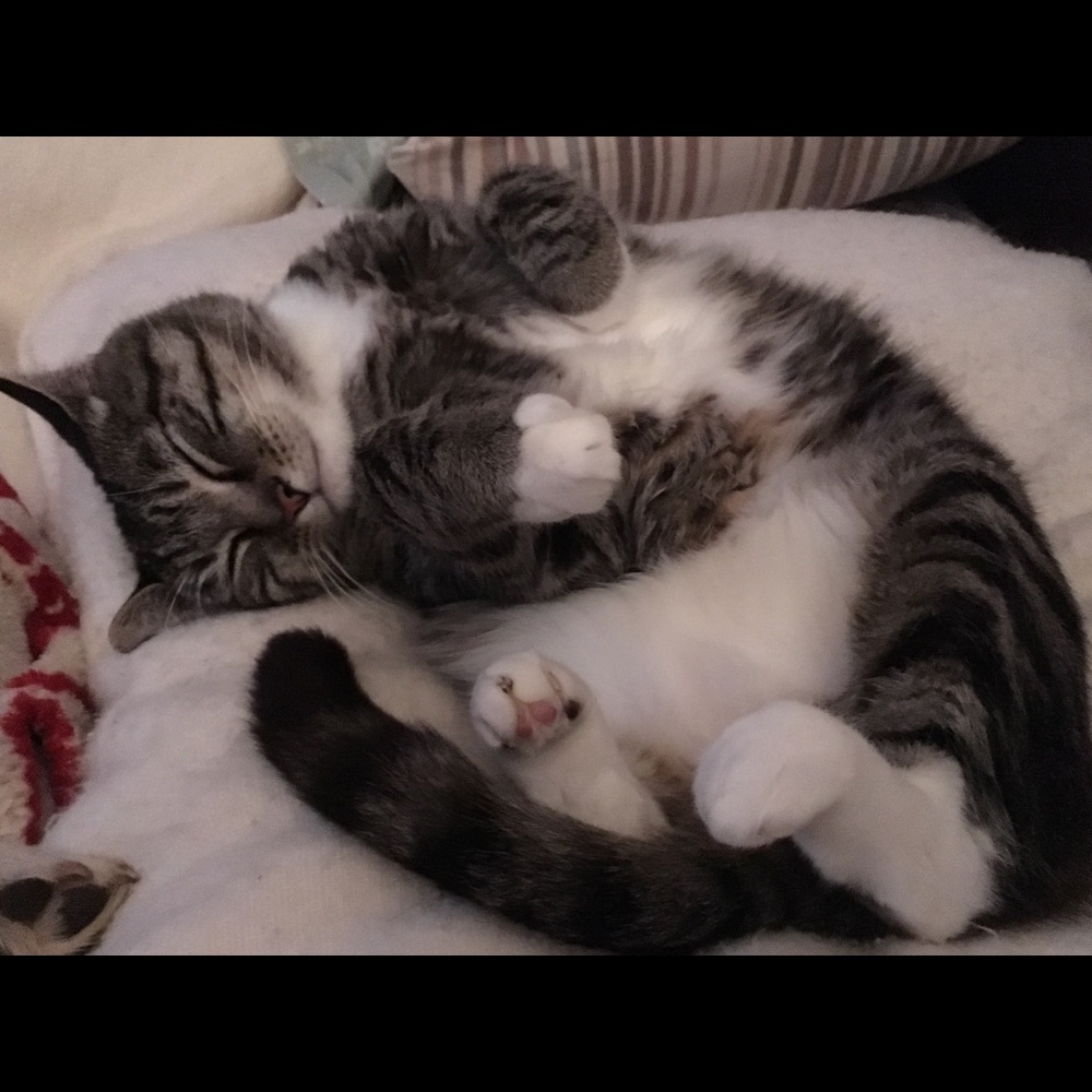 Meet your Posher, Eric